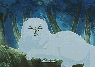 follow_me