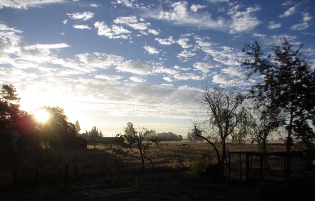 sunset-farm